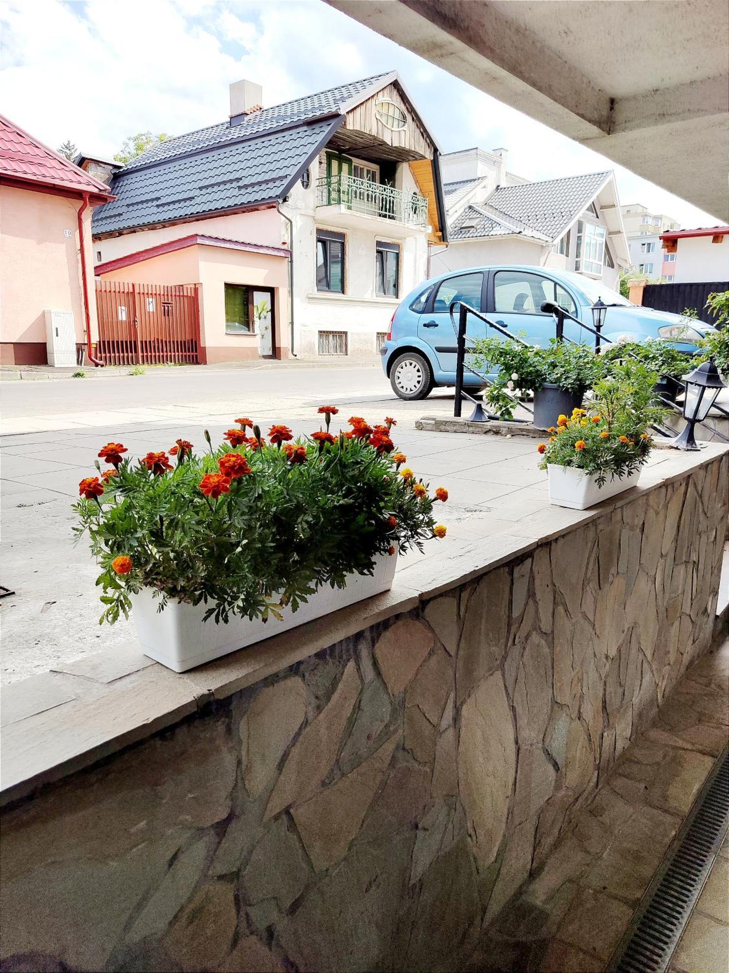 Appartamento Studioul De Vis Braşov Esterno foto