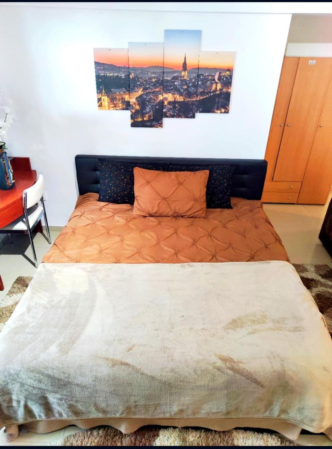 Appartamento Studioul De Vis Braşov Esterno foto